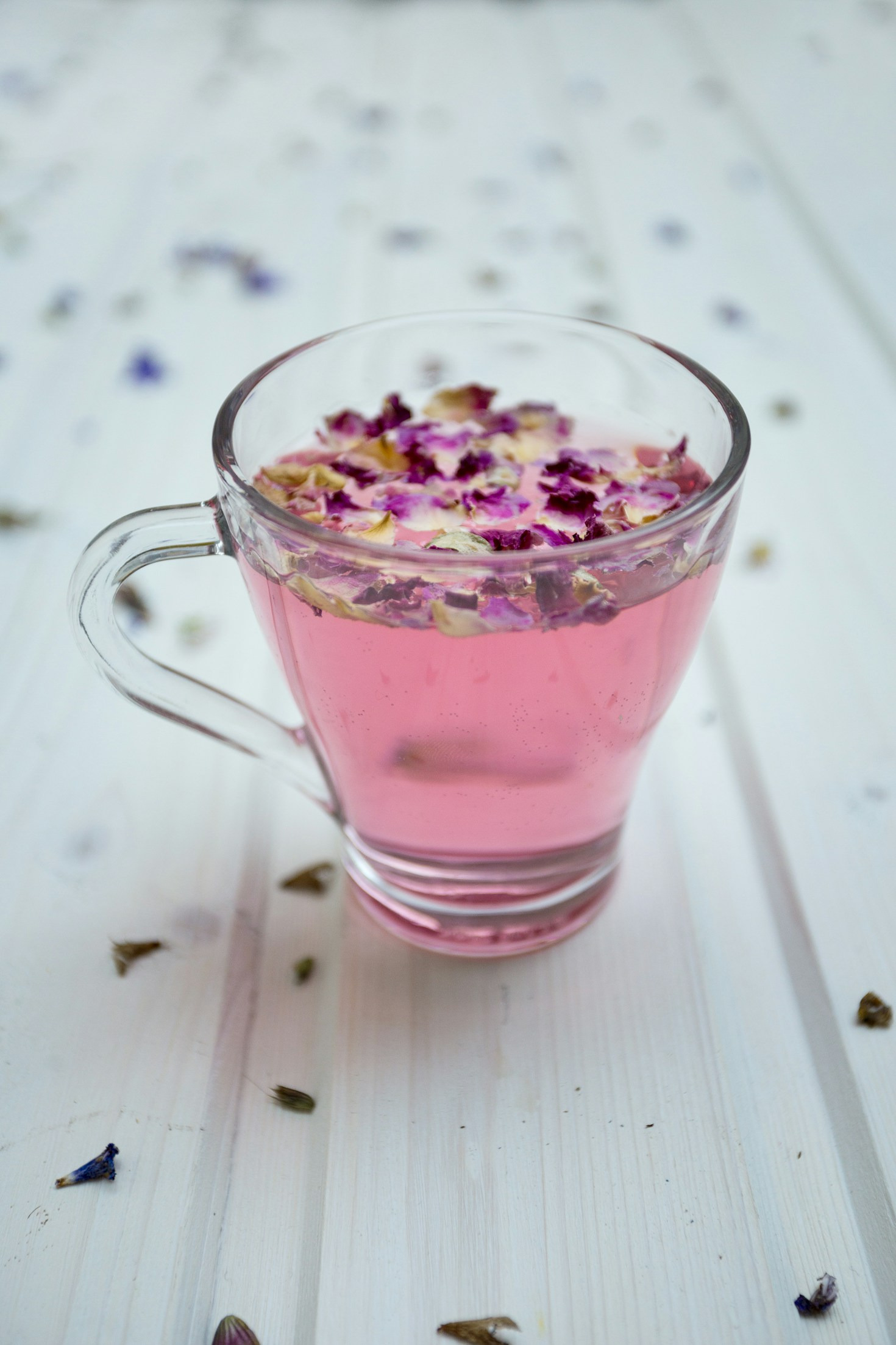 Die besten Rezepte mit essbaren Wildpflanzen